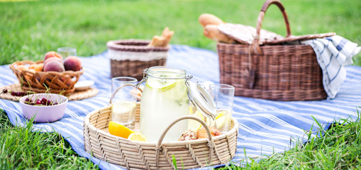 ¿Cómo preparar un picnic perfecto?